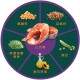 Zignature 超越 - 全犬無穀物三文魚配方 - 12.5 磅 到期日：2025-10-23