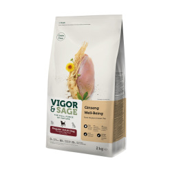 VIGOR & SAGE - Ginseng Well-Being Regular Adult Dog - 2 kg Expiry Date: 2025-11-29
